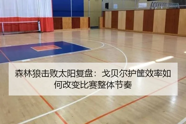 森林狼击败太阳复盘：戈贝尔护筐效率如何改变比赛整体节奏